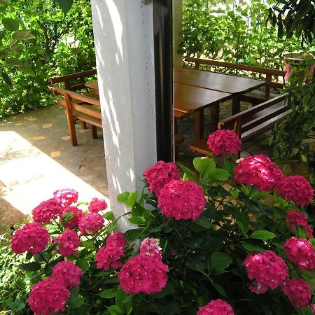 Apartman Juric Διαμέρισμα Krk Town Εξωτερικό φωτογραφία